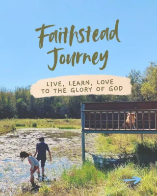 Join me on this journey 🤍