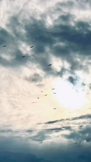 Don’t forget to thank and praise God today 🙏❤️

#Faith #thanksgodforeverything #lovegod #discipleofchrist #christianmom