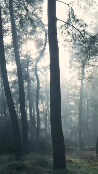 We don’t like to talk about failure.
Especially the kind that comes *after* we thought we had already grown.

The same trial…
the same struggle…
and this time, we fall.

And suddenly we’re left wondering,
*Was my faith ever as strong as I thought?*

But Scripture reminds us—
“My grace is sufficient for you, for My power is made perfect in weakness.” (2 Corinthians 12:9)

Even our failures are not wasted.
They become the very places where God’s strength is revealed most clearly.

Like Peter, our story isn’t just one of bold faith—
but of failure… and restoration.

So if you feel stuck today,
or discouraged by how you’ve responded—

Take heart.

You are not less loved here.
You are not beyond His grace.

If anything, this may be the place
where His power will shine the brightest.

#christianencouragement #faithoverfear #graceupongrace #biblereels #weaknessinstrength