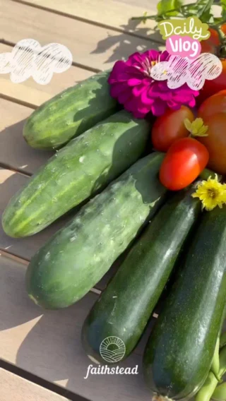 From seed to supper. 🌱 

#GardenHarvest #HomegrownFood #BackyardGardening #GrowWhatYouEat #SimpleLivingLife